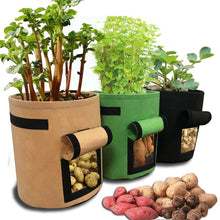 Charger l'image dans la galerie, Tomatoes Potato Grow Bag with Handles Flowers Vegetables Planter Bags Home Garden Planting Accessories Growing Box Bucket Pot
