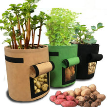Charger l'image dans la galerie, Plant Bag Potato Grow Container Bag DIY Planter PE Cloth Planting Vegetable Gardening Thicken Vegetable Pot Planting Grow Bag
